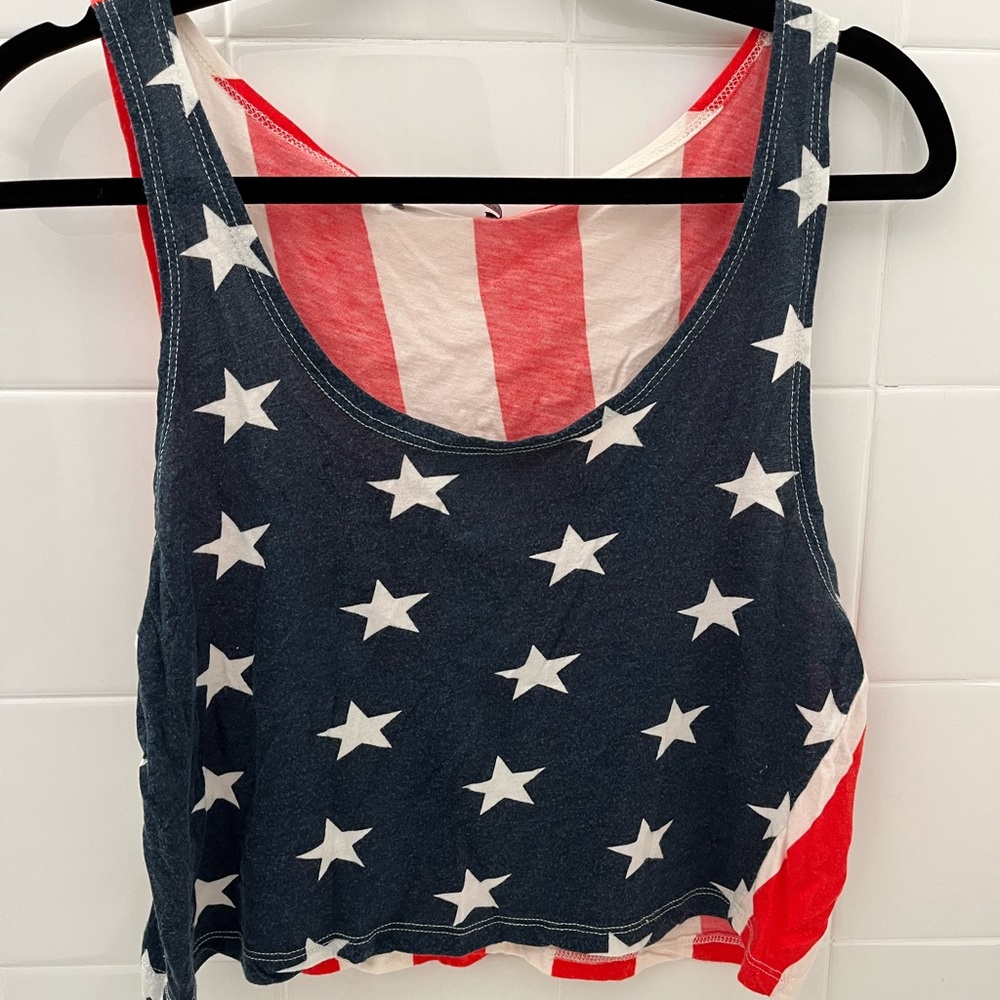 Brandy Melville USA Crop Top